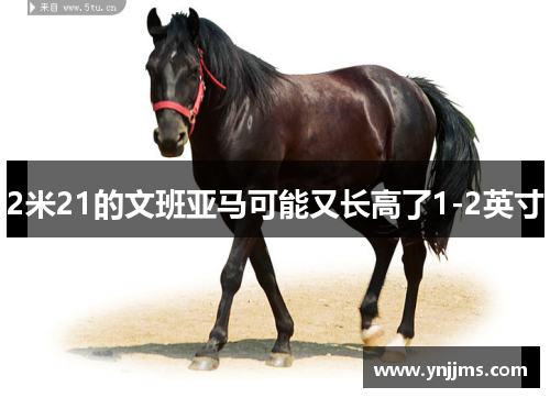 2米21的文班亚马可能又长高了1-2英寸