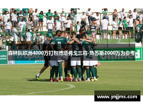 森林队欧洲4000万打包博塔弗戈三将-热苏斯2000万为参考